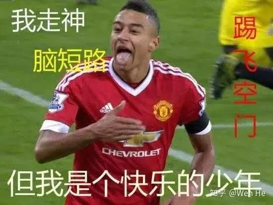 锦湖说世界杯：带你胡侃世界杯之三喵军团（爆笑图文，不容错过）