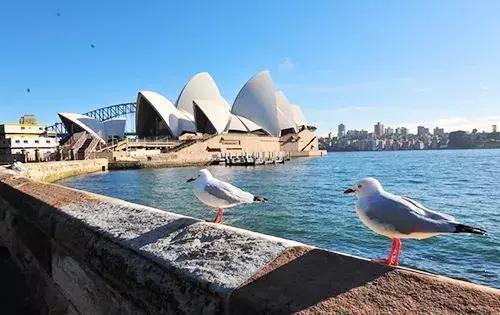 代购方面的法律法规,代购的相关法律法规