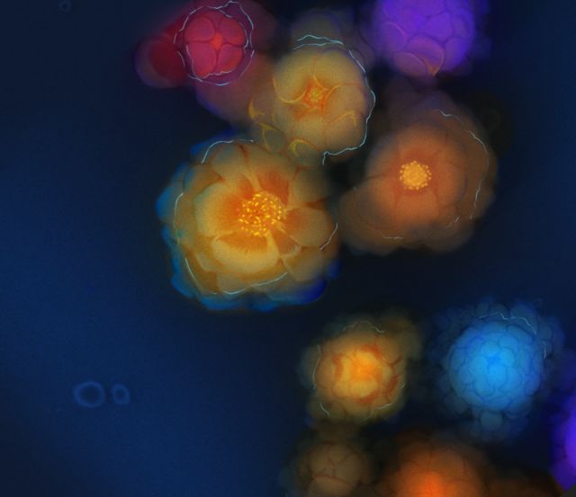 微观世界｜这样的世界杯，你见过吗？