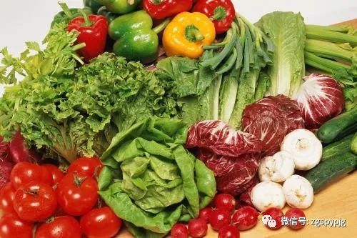 防痛风的食谱大全,夏季如何预防和避免痛风高发