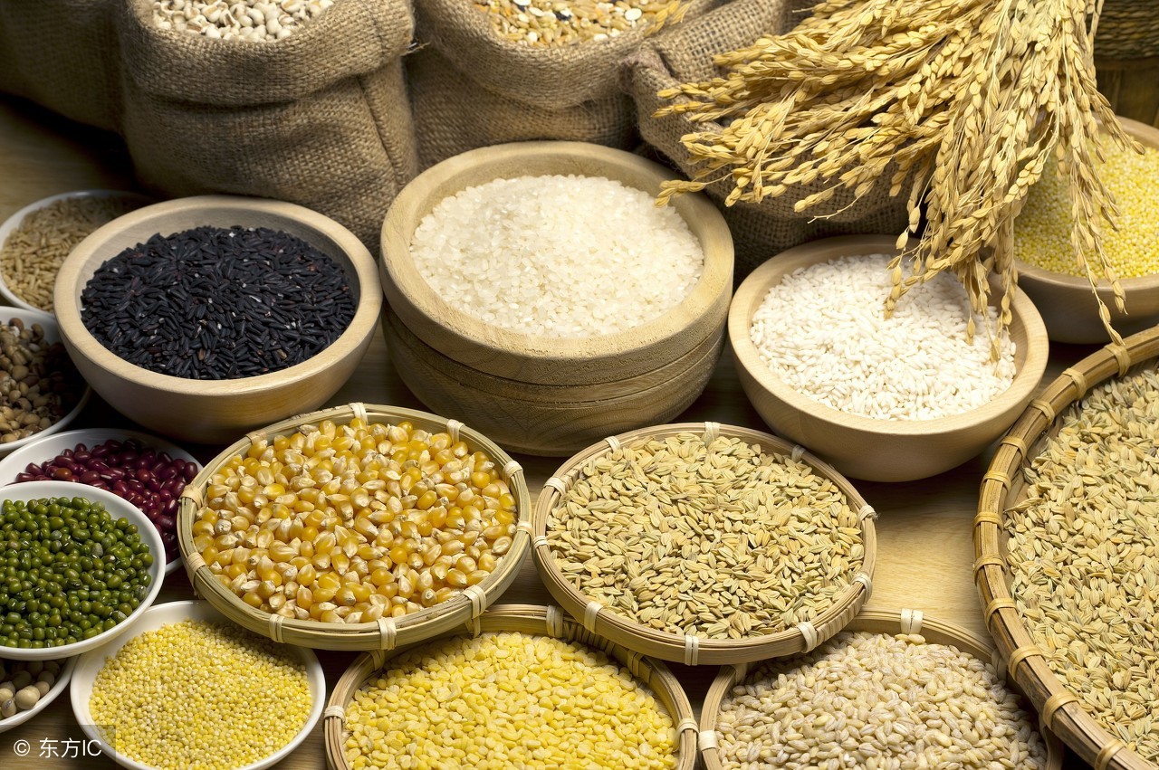 身体缺什么补什么的知识,强弱项补短板缺什么补什么