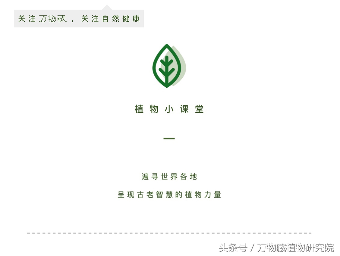 同草不同命，大牌护肤品中也有这些印度草药