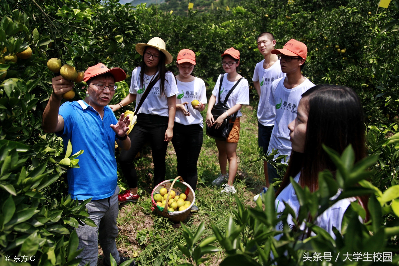 为什么大多数人不看好农业类的大学？中国农林类大学到底怎么样？