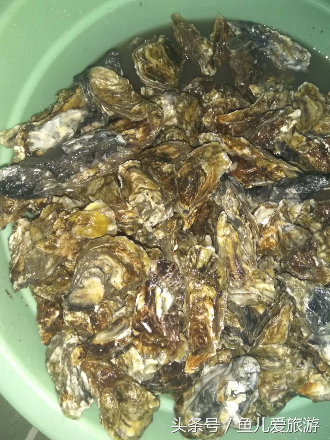 东疆港和北戴河哪个好玩,两宝妈带孩子自驾游