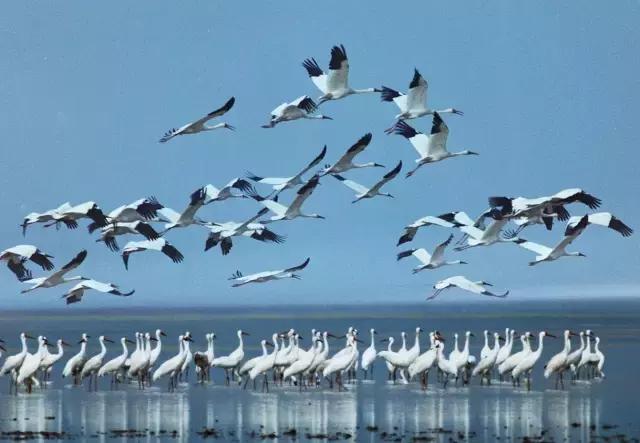 江西最有魅力的县,江西最好十个县