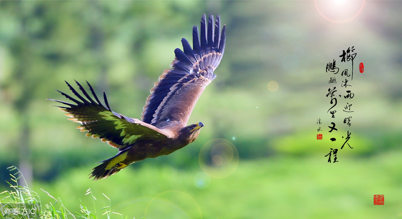 每天分享一个创业项目,分享创业项目