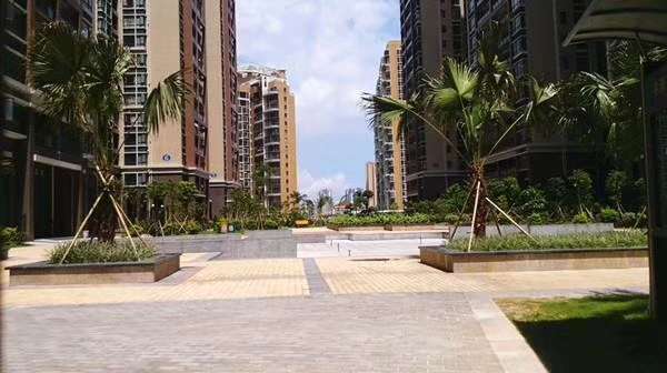 沙井新城,张哥哥真诚为您推荐