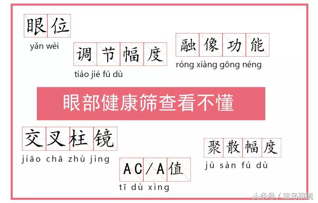 宝岛网红｜带你终极揭秘视觉动力1+7