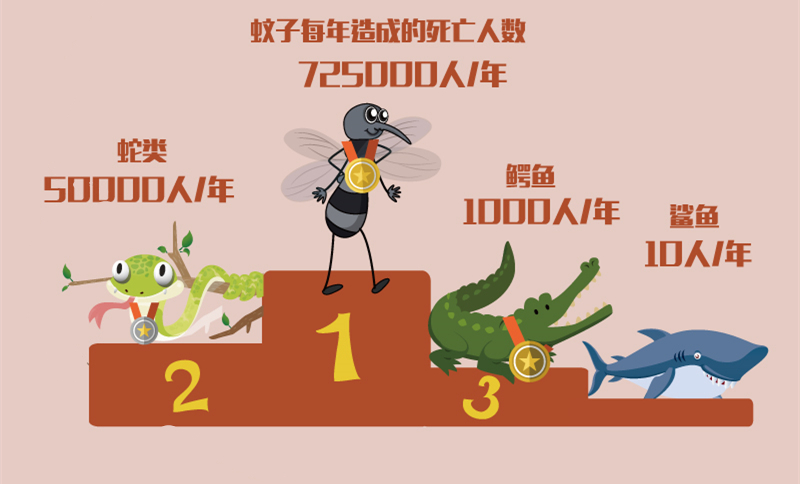 夏天孕妈妈用什么可以避免蚊子咬,孕妇被蚊子咬了怎么养宝宝