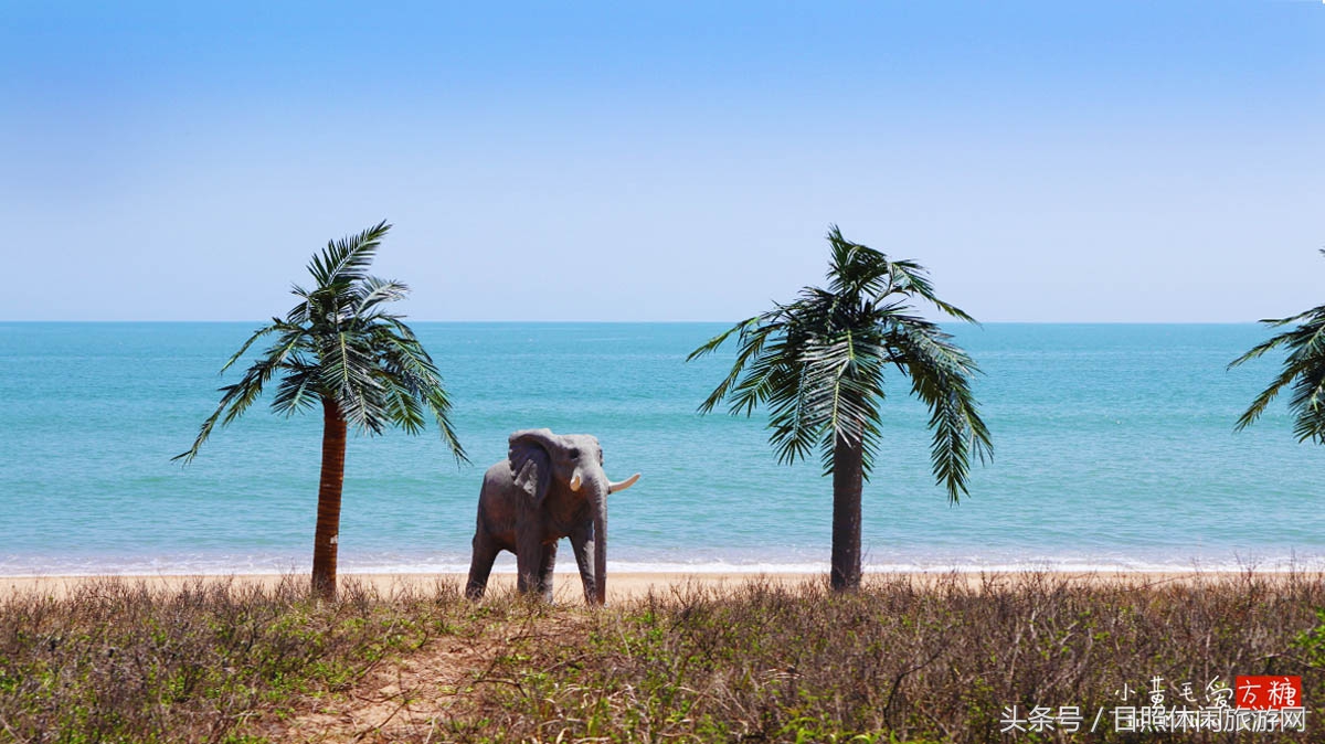 日照浴场海鲜攻略,日照海滨浴场旅游攻略