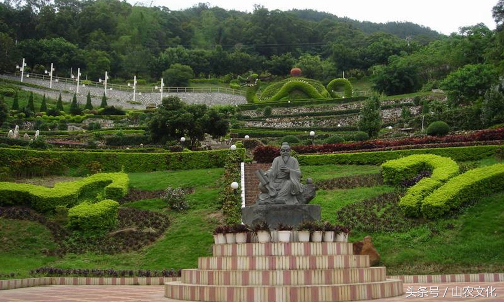 安溪西坪核心产区红心铁观音,安溪铁观音茶叶最好的产区