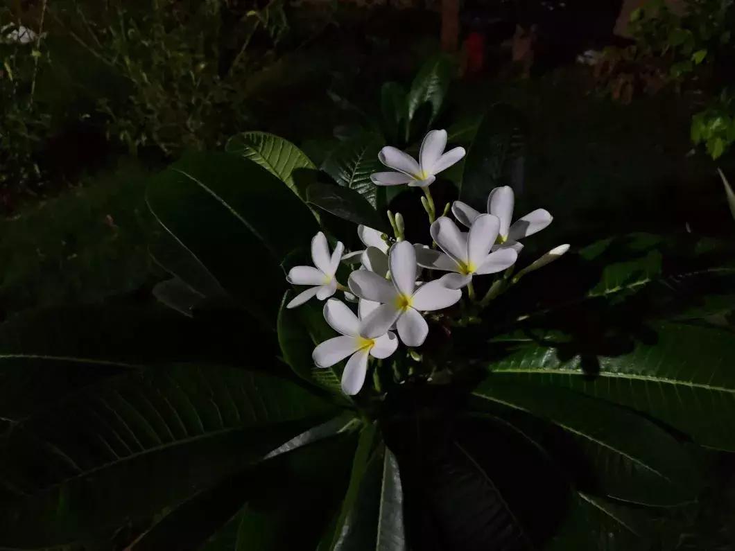 华硕zenfone5z升级后手机无信号,华硕zenfone52014