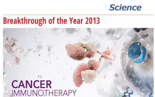 肿瘤细胞免疫治疗是什么,细胞免疫治疗视频大全