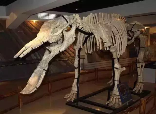 武汉室内凉快玩的地方,武汉夏日清凉的地方