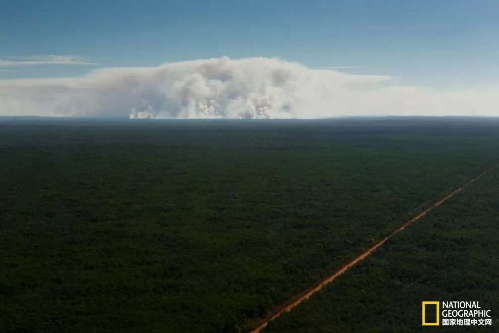 遗世独立，提维群岛｜我敬你是片世外天堂！
