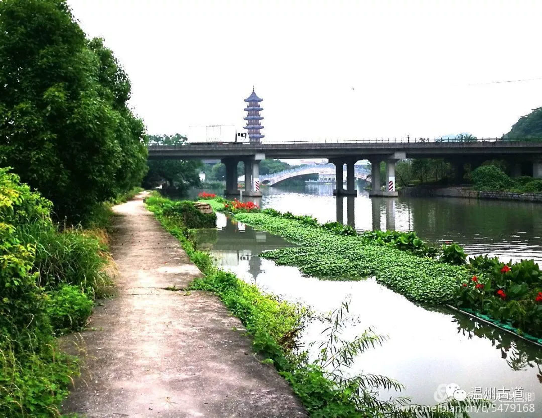 南白象塔全景图,南白象公园