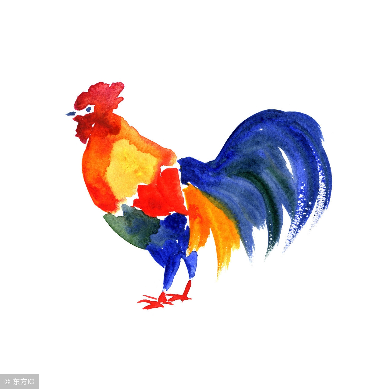 生肖鸡的一生财运都极强,生肖鸡终将得偿所愿