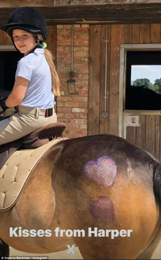 贝小七2019生日,贝小七生日送什么礼物