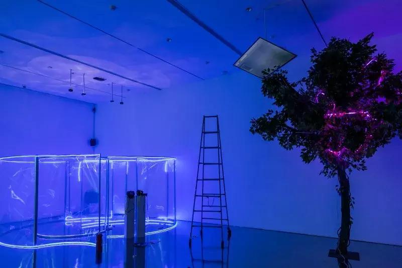 GUCCI出马桶了？纽约爆火的出厂设置展来魔都了，首日就1w人打卡