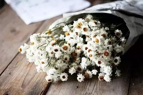 十二星座的专属玫瑰花是什么,十二星座喜欢什么玫瑰花