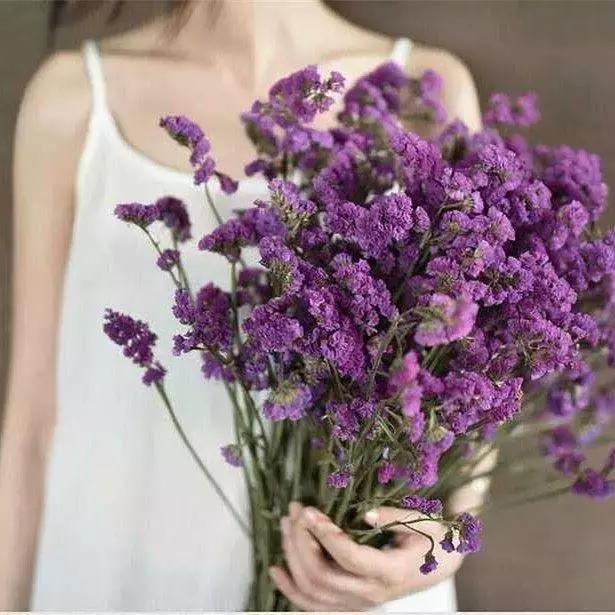 十二星座的专属玫瑰花是什么,十二星座喜欢什么玫瑰花