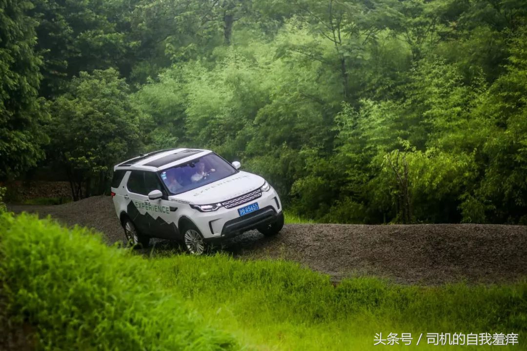 如果你想体验征服感，那养一头猛虎应该是不错的选择