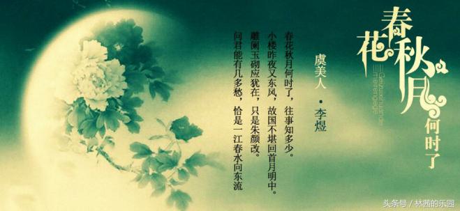 关于明月的诗句大全唯美,宋词里的明月绝美经典57句