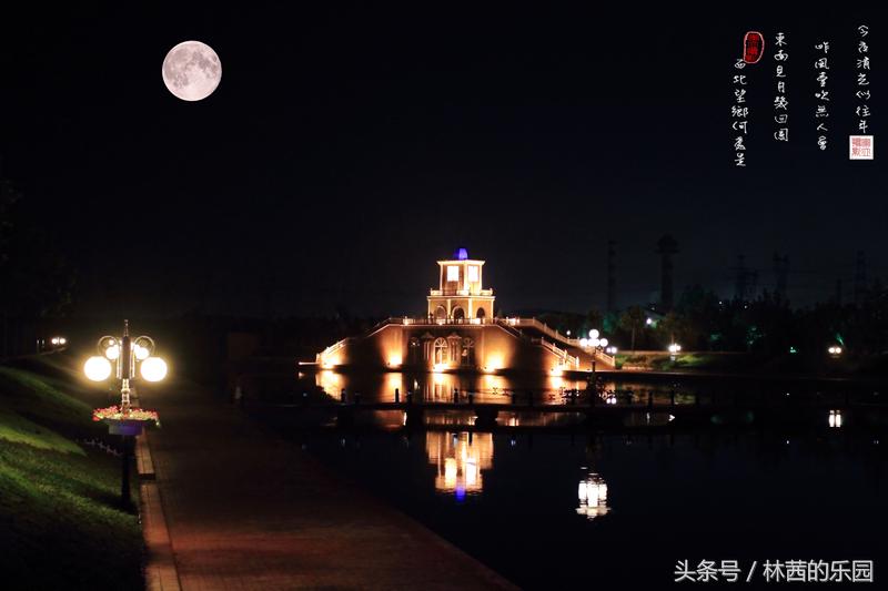 关于明月的诗句大全唯美,明月最美十首诗