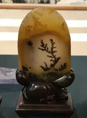 黄龙玉水草花亮点,顶级黄龙玉水草花