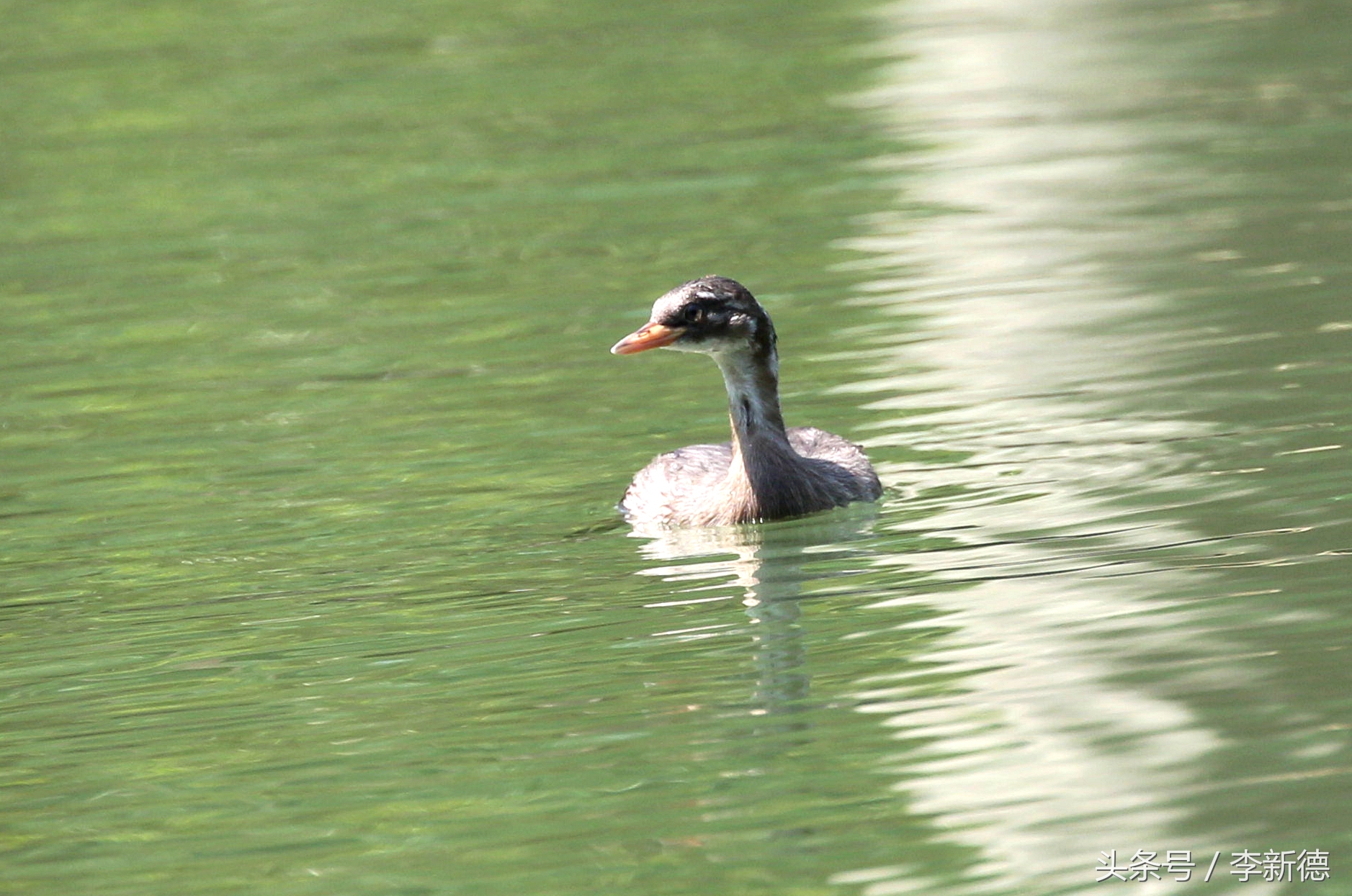 佳能5d3配24105镜头拍人像,佳能5d3501.8镜头拍合照