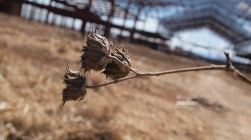 十大被荒废的游乐园,全国最大的烂尾游乐园