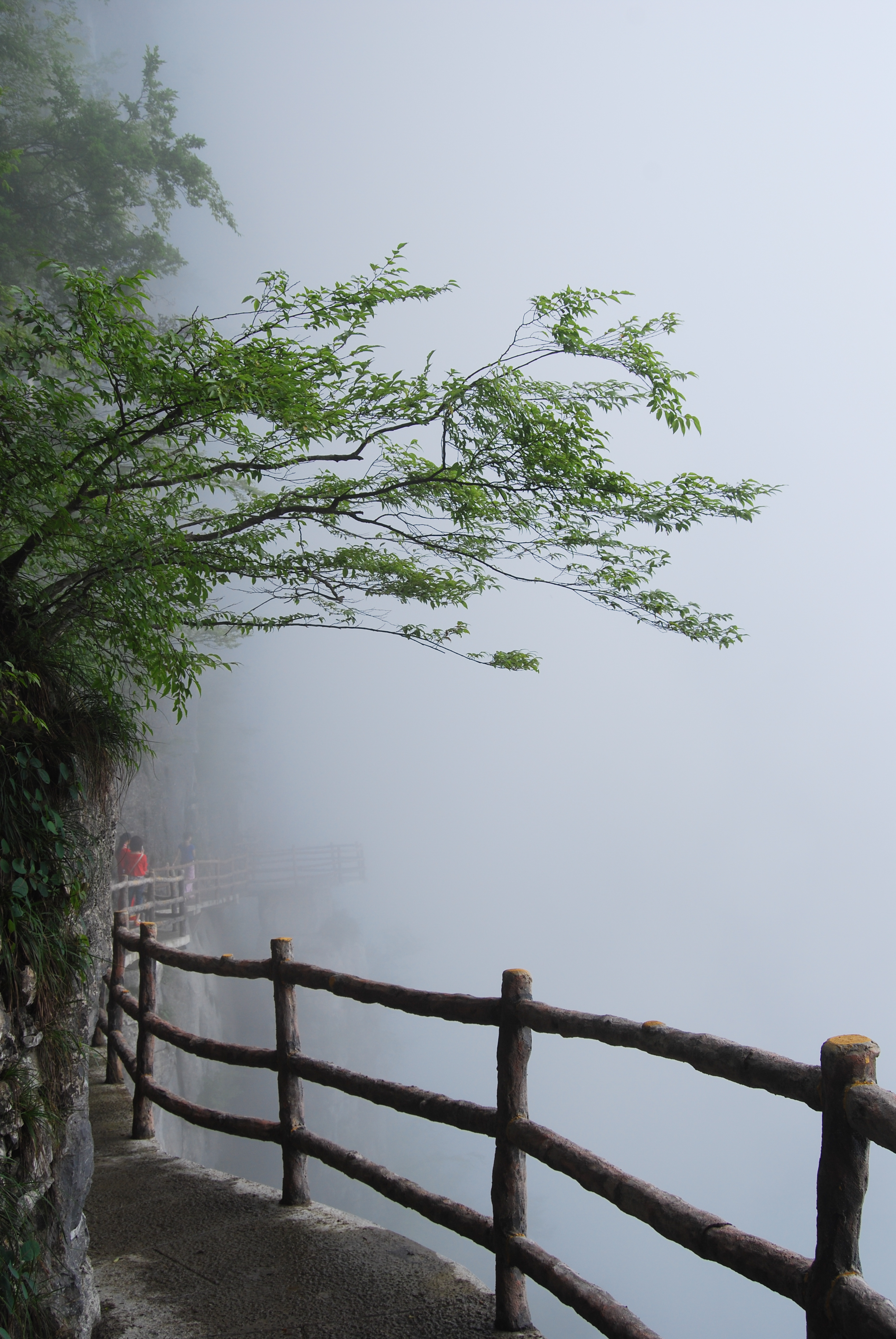 武汉周边避暑景点推荐,武汉夏天避暑旅游攻略