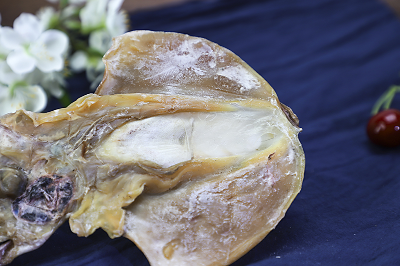 墨鱼干煮粥做法大全家常,墨鱼干煮汤怎么煮好吃