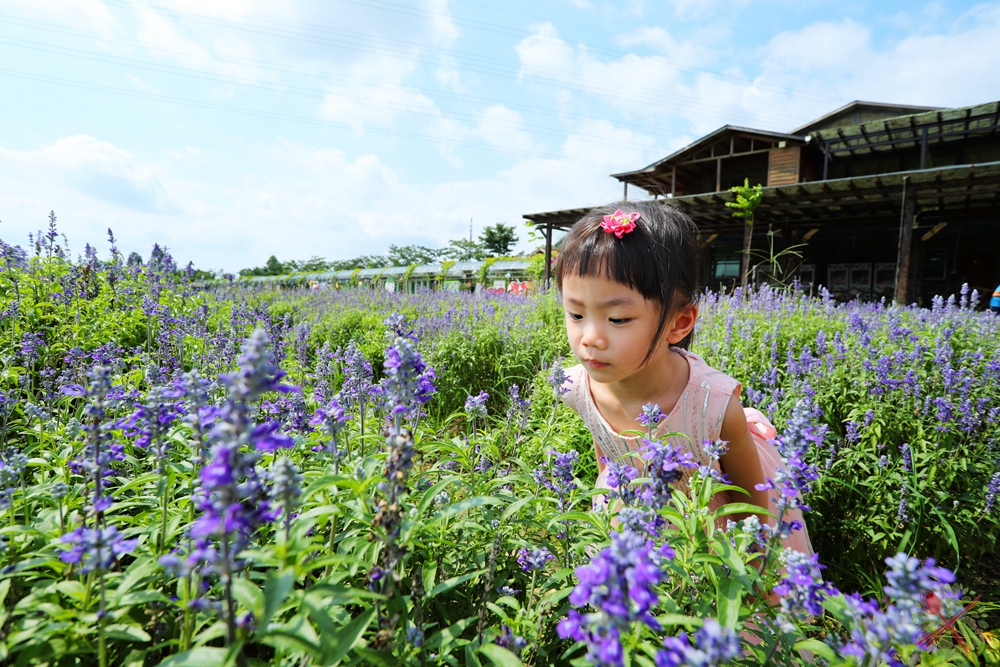暑假带孩子逛公园,带孩子玩跳楼