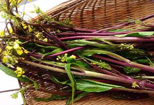 湖北42个村社区入选名单,湖北省重磅村名单