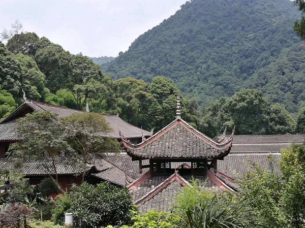 央视采访舞帝利哥,舞帝利哥回归破亿