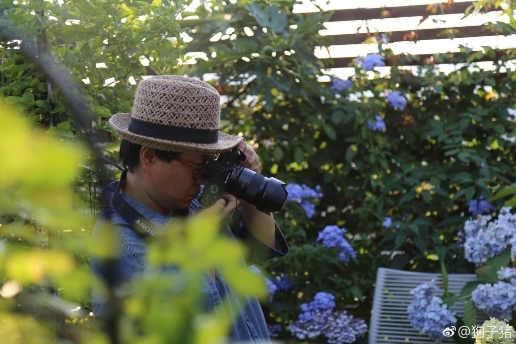 39岁，她不安分得很漂亮天台折腾两年，随后发出的照片，惊艳了所有人