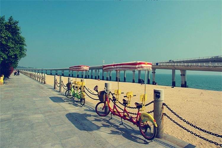 厦门旅游的必备攻略,厦门游玩攻略自由行一天夏天