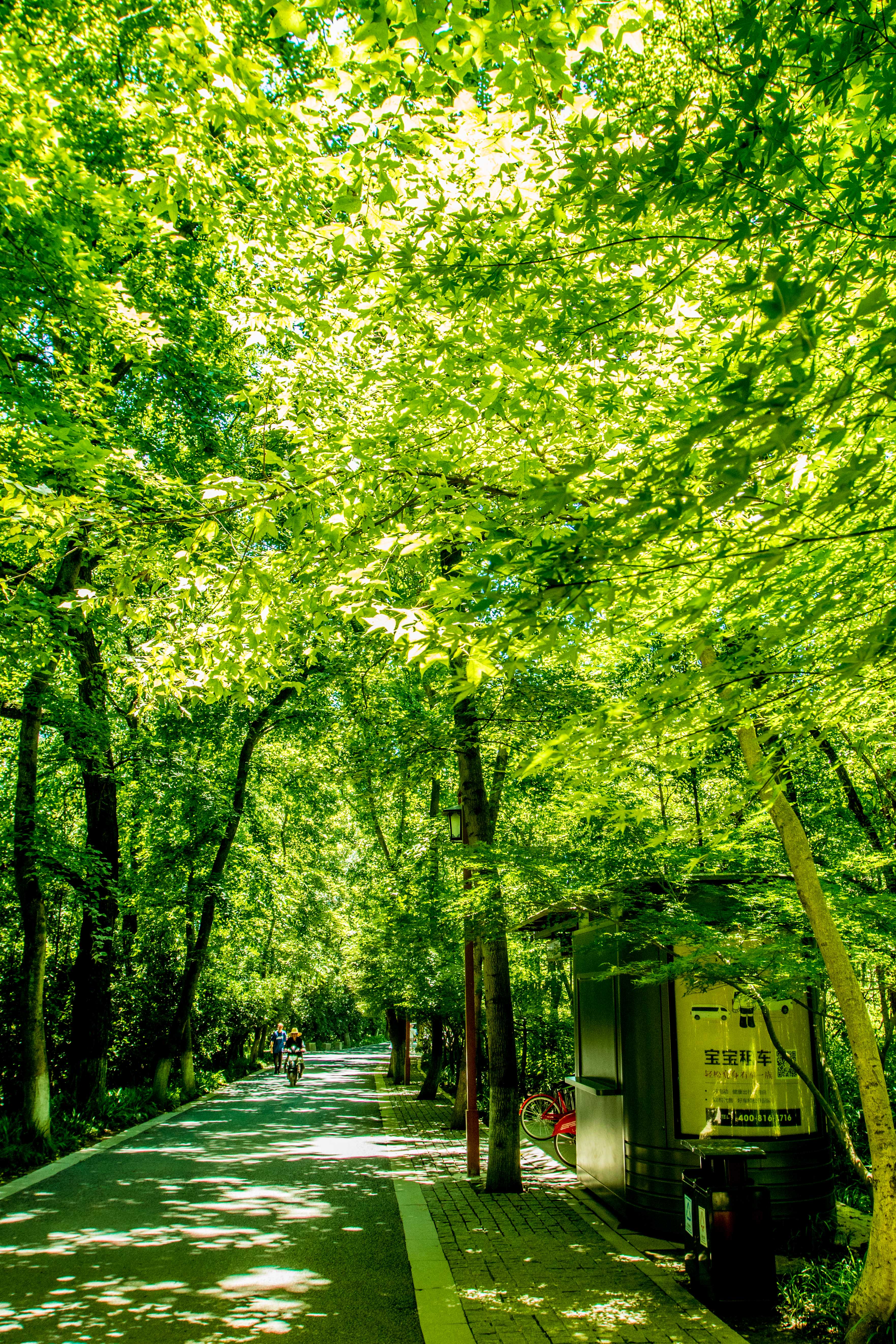 杭州的世外桃源在哪个区,杭州的世外桃源