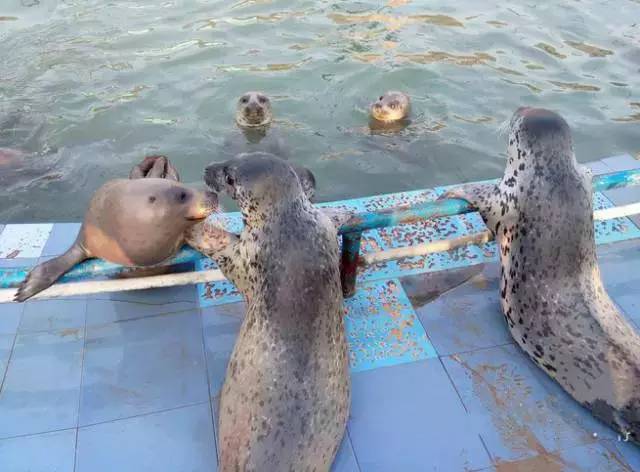 「交通生活」别去挤北戴河了！北京周边6大绝美岛屿，今年夏天一定要去一个！