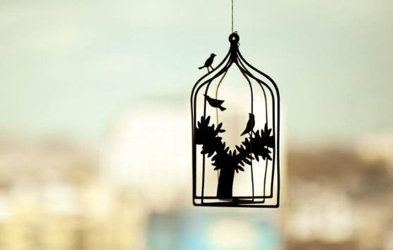 十大最著名的心理学效应经常出现,世界公认七大效应