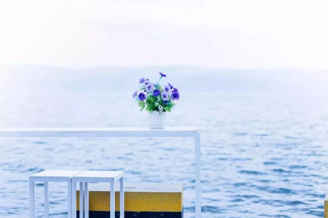 美到窒息的夏日洱海,在这个浪漫的夏天遇见你