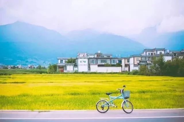 美到窒息的夏日洱海,在这个浪漫的夏天遇见你