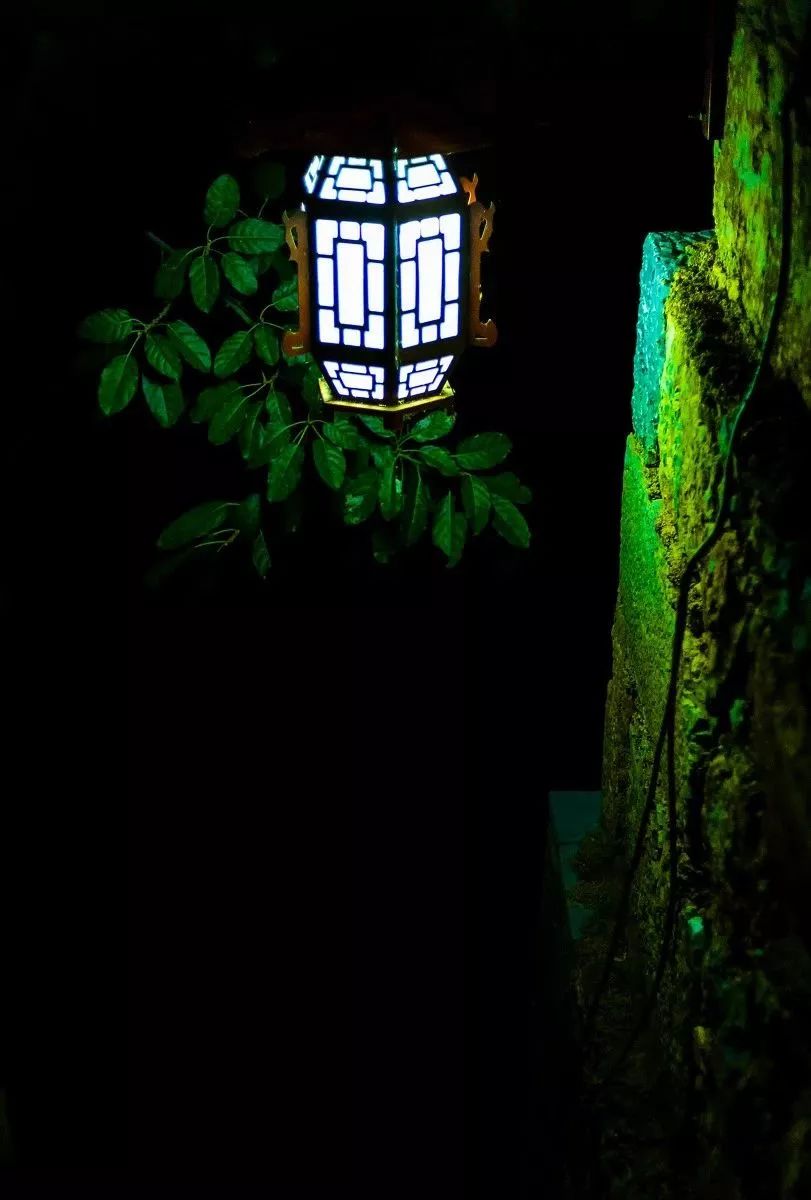 美到窒息的夏日洱海,在这个浪漫的夏天遇见你