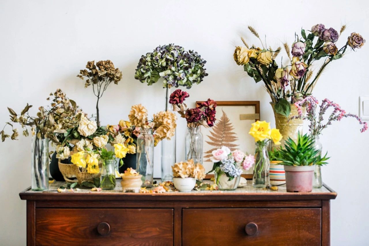 一个失业大叔，用1500元拍下自己幸福的父母，豆瓣9.2分！