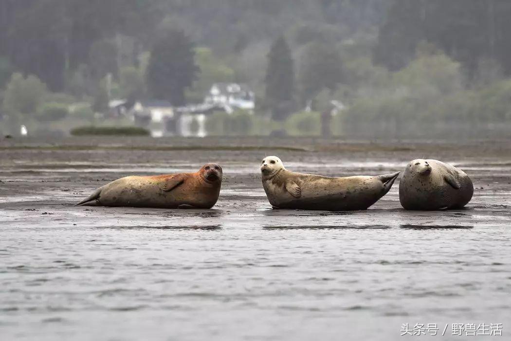 世界上最值得去的秘境,世界上南端的一处秘境