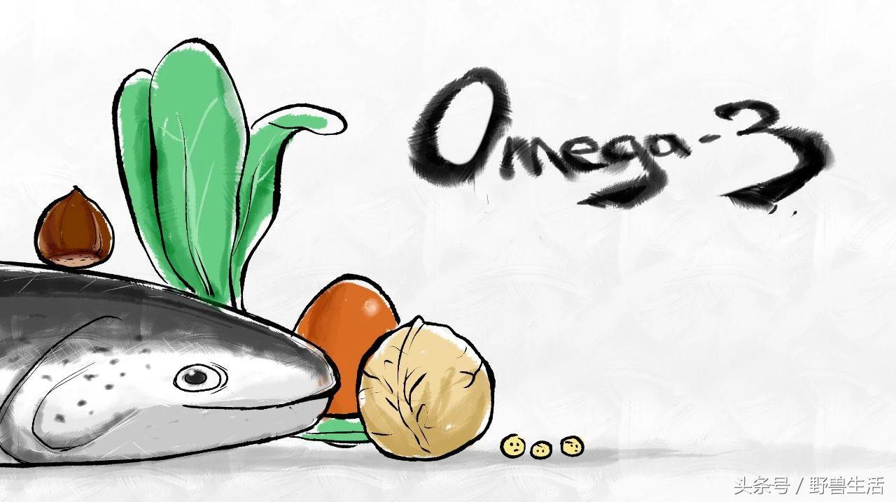 世界上最值得去的秘境,世界上南端的一处秘境