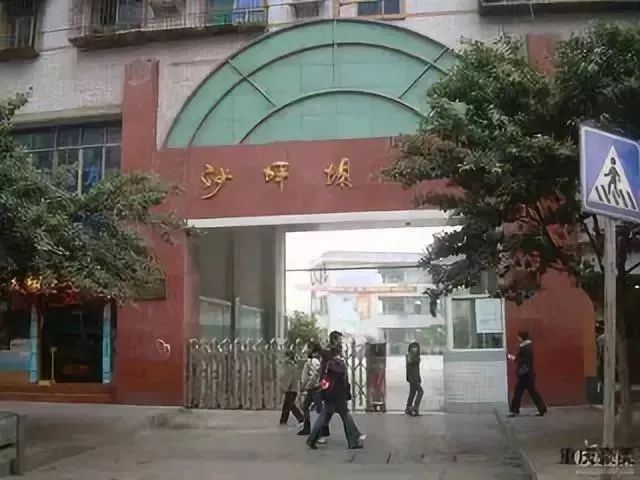 重庆渝北区小学划片一览表2021,重庆九龙坡区小学划片一览表