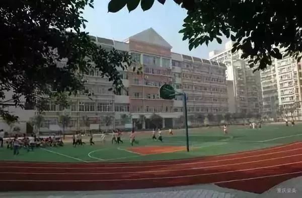 重庆南岸区2021小学划片一览表,重庆谢家湾小学划片2021