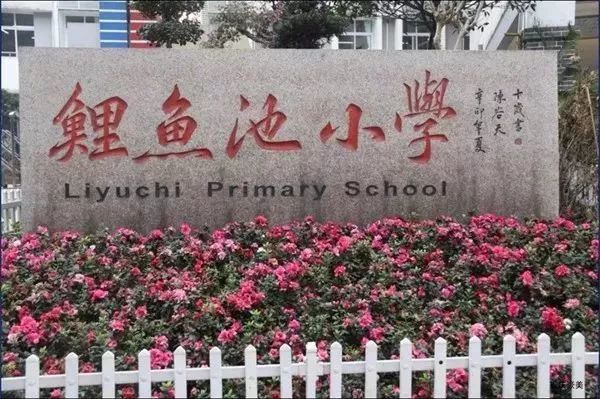2022年重庆小学划片区,重庆主城近300所小学划片范围
